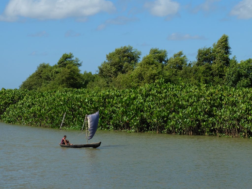 delta du Parnaiba