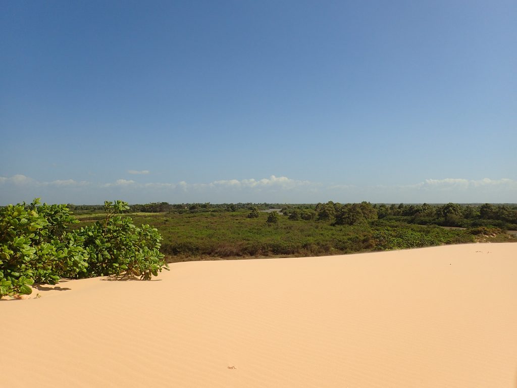 Les dunes du delta du Parnaiba