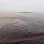 Mélange des eaux à Manaus