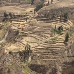 Les cultures en terrasse de la vallée del Colca