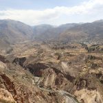 Les cultures en terrasse de la vallée del Colca