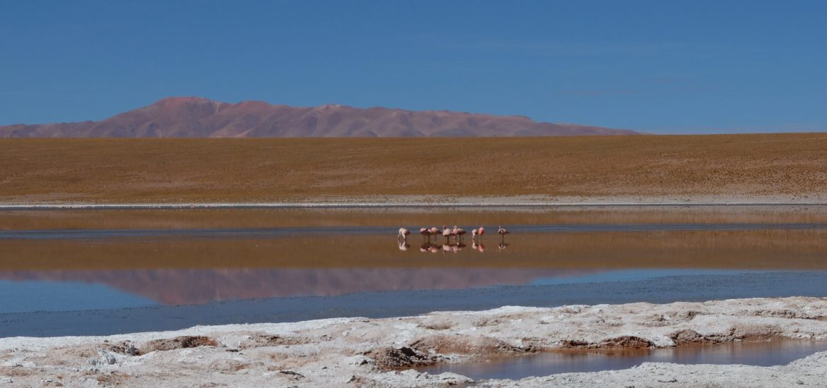 Sud bolivien lagune