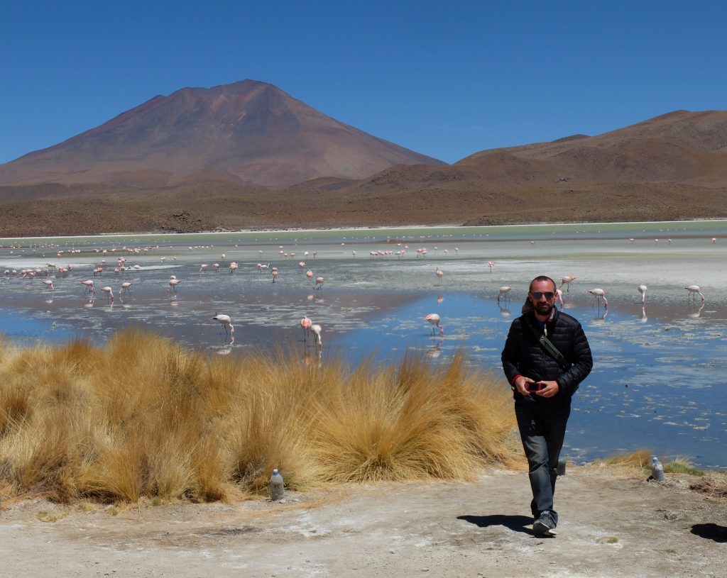 sud bolivien flamants