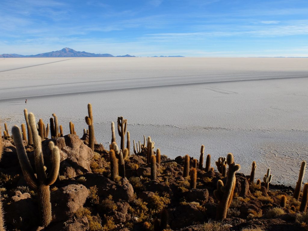 uyuni incahuasi