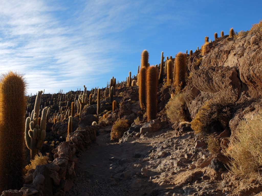 uyuni incahuasi