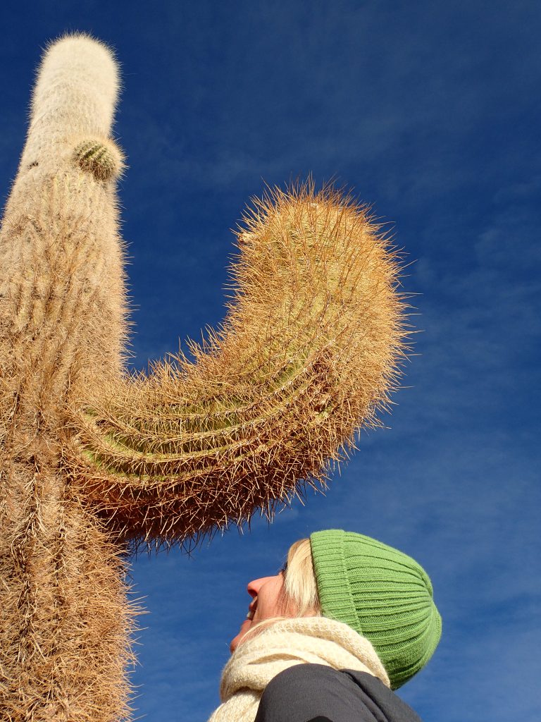 uyuni incahuasi