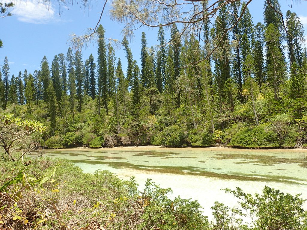 lifou