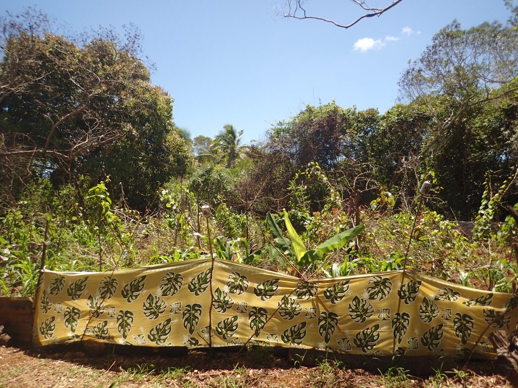 Lifou potager